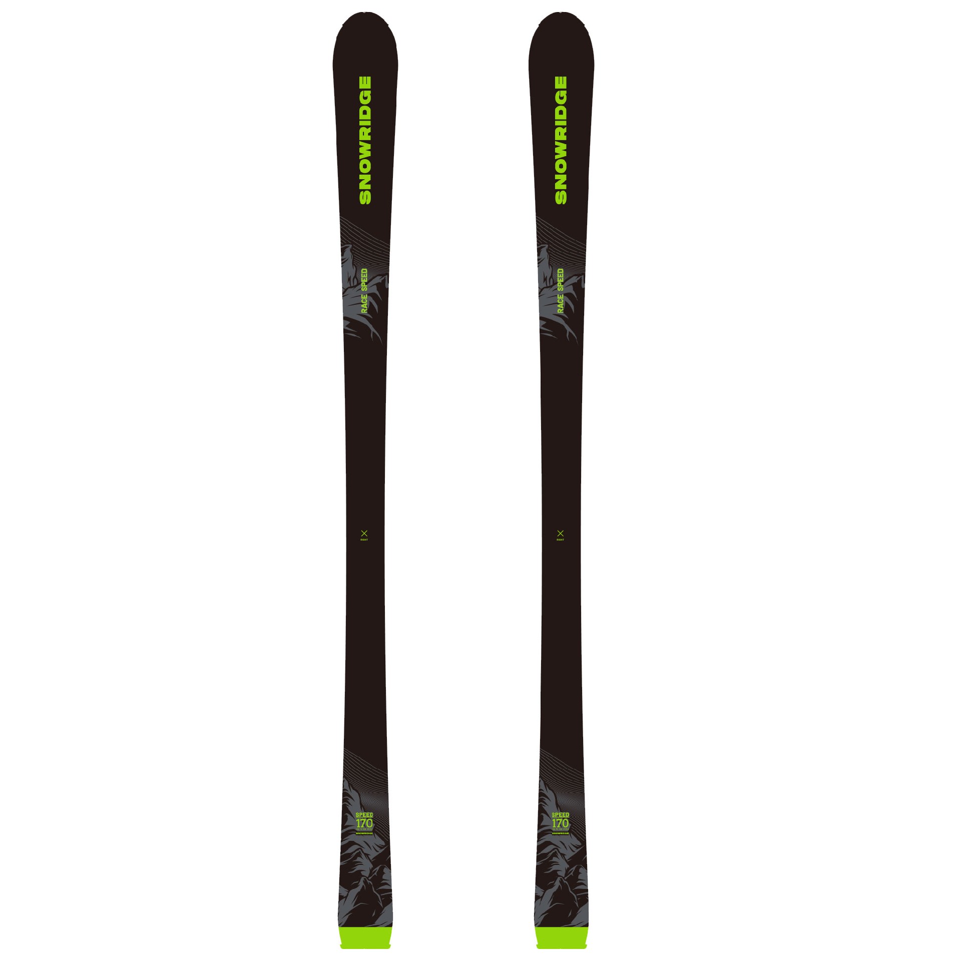 Alpine skis- black